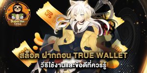 สล็อต-ฝากถอน-true-wallet-วิธีใช้งานและข้อดีที่ควรรู้